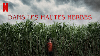 Dans les hautes herbes (2019)