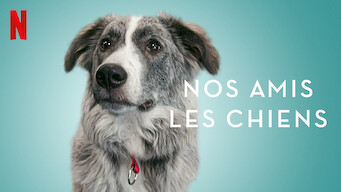 Nos amis les chiens (2021)