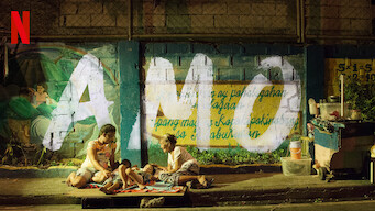 Amo (2017)