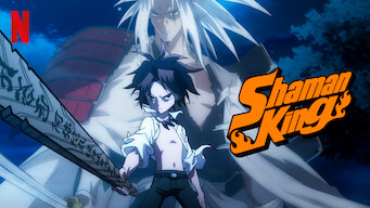 Shaman King (2022)